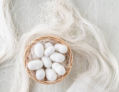 Silk cocoons